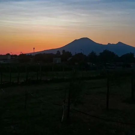 Masseria Del Trivio * سكافاتي